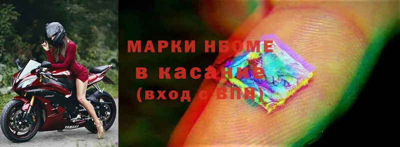 Псилоцибиновые грибы Куровское